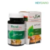 هزال سینا فرآور 60 عددی